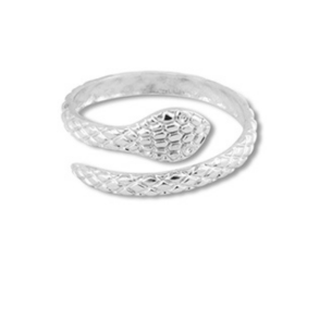Ring i rustfrit st�l