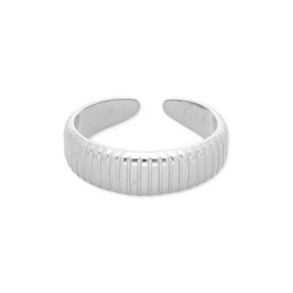 Ring i rustfrit st�l