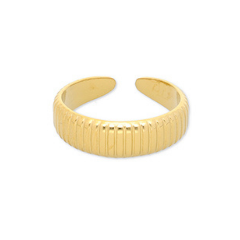 Ring i rustfrit st�l