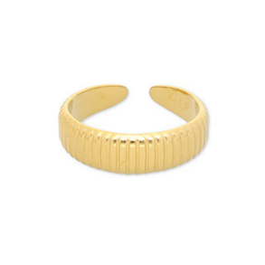 Ring i rustfrit st�l