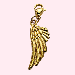 Charm Vinge