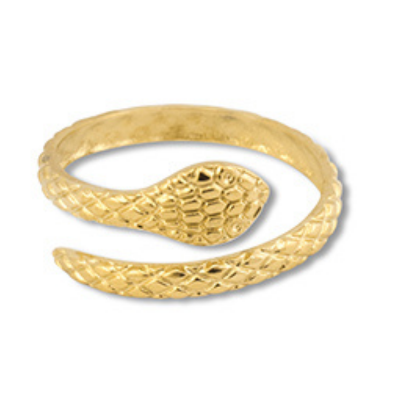 Ring i rustfrit st�l