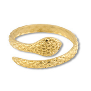 Ring i rustfrit st�l