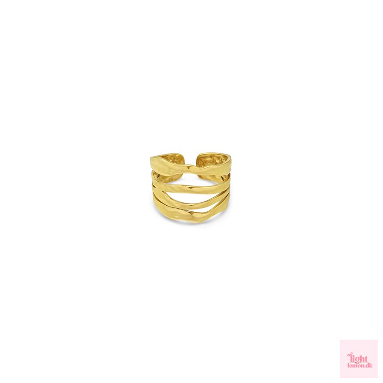 Rustfrit st�l ring. 