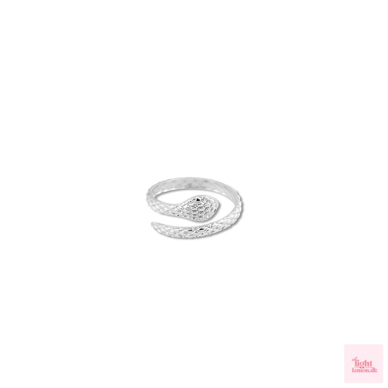 Ring i rustfrit st�l