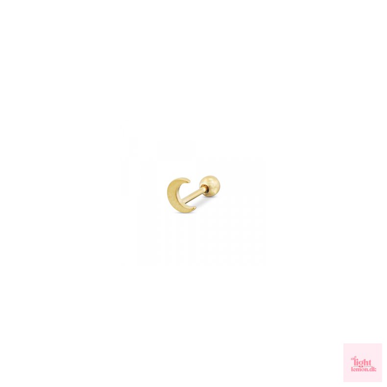 �repiercing. Rustfrit st�l