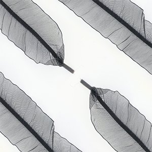 Organza sn�reb�nd. Sort