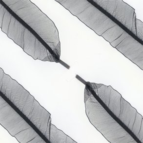 Organza sn�reb�nd. Sort