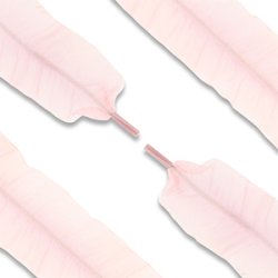 Organza sn�reb�nd. Vintage rosa